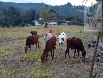 Stio para Venda, em Jarinu, bairro Chcaras de Recreio da Fazenda Estncia So Paulo, 10 dormitrios, 6 banheiros, 2 sutes, 20 vagas