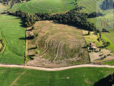 Stio para Venda, em Guare, bairro Capela Velha, 3 dormitrios, 2 banheiros, 20 vagas